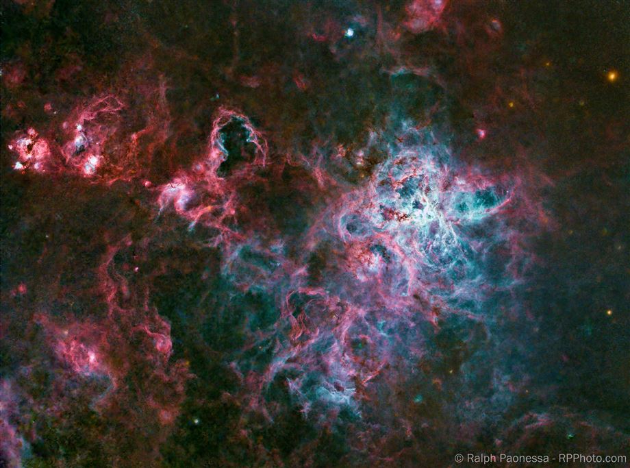 The Tarantula Nebula (starless)